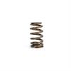 LS1 OVATE BEEHIVE VALVE SPRING - SNGL - image 1