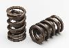 VALVE SPRINGS 4.6L FORD4V - image 1