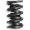 75824-16 Lift Nitride Dual Valve Spring W/O Damper OD: 1.625"