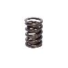 ENHANCED 1.725 TRIPLE VALVE SPRING SINGLE - image 1