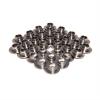 TIT.RETAINERS FORD 4.6L 4 - image 1