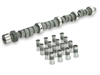 CAM / LFTR SET SB CHRY STAVGR - image 1