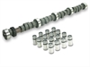 CAM / LFTR SET BB CHRY STAVGR - image 1