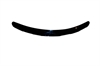 Interceptor Bug Shield 2003-07 for Nissan Murano - image 1
