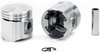 Silvolite Piston - 3.7L Ford L6 1954-64 - image 2
