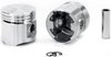 Single Silvolite Piston - 3.7L Ford L6 1954-64 - image 2