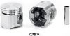 Silvolite Piston - 3.7L Ford L6 1954-64 - image 2