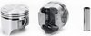 Silvolite Piston - 4.2L Ford V8 1980-82 - image 2
