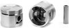 Single Silvolite Piston - 7.0L GM V8 1967-69 - image 2