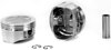 Single Silvolite Hyper Piston - 3.8L GM V6 1995-01 - image 2