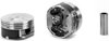 Single Silvolite Hyper-Coated Piston 4.6L GM V8 2003-05 - image 2