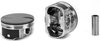 SINGLE SILVOLITE PISTON - image 2