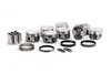 ICON PISTON SET W/RINGS