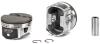 ICON PIST SET W/R LS1/LS6
