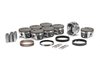 ICON PIST SET W/R LS1/LS6 - image 2