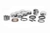 PIST SET W/RINGS CHRY 6.1 - image 1
