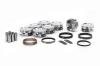PIST SET W/RINGS CHRY 6.1 - image 1