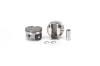 PISTON/RING KIT HONDA - image 1