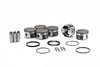 PISTON/RING KIT NISSAN - image 2