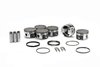 PISTON/RING KIT NISSAN - image 2