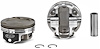 PISTON/RING KIT NISSAN - image 1
