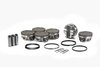 PISTON/RING KIT NISSAN - image 2