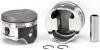 PISTON/RING KIT NISSAN - image 1