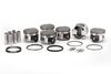 PISTON/RING KIT NISSAN - image 2