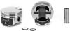 PISTON AND RING SET - image 1