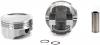 FORD 4.9L PIST SET W/RNGS - image 1