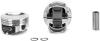 FORD 4.9L PIST SET W/RNGS - image 1