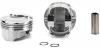 FORD 4.9L PIST SET W/RNGS - image 1