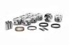 1 Set IC719.STD/1 Set 4000BD8.005 - image 1