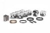 1 Set IC742.STD/1 Set 4000BD8.005 - image 2