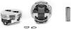 1 Set IC755.STD/1 Set 4125BD8.005 - image 1