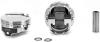 1 Set IC881.STD/1 Set 4000BD8.005 - image 1