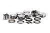 1 Set IC9957.STD/1 Set 4500BD8.005 - image 1