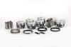 PISTON KIT - image 1