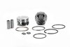 KB Hyper Piston - Twin Cam 88 Big Bore 95ci 1998-06 Rod-7.667 Bore 3.875 Stroke 4.000 C.H. 1.270 Flat Top +1cc - image 2