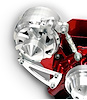 Alternator Bracket Small Block Chevy