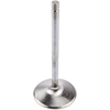 Budget Performance Intake Valve Small Block Chevy - image 1