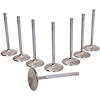 Race Master Race Flo Intake Valves LS1 / LS2 / LS6