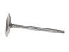 VALVE-FORD 6.2L R/M53.5mm - image 2