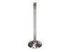 VALVE-FD 6.2L R/M42mm HD - image 3