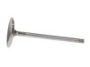VALVE-HOLLOW STEM 11612 - image 2