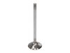 VALVE-FD 6.2L R/M43mm HD - image 3