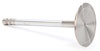 Severe Duty Valve Type: Intake - image 1