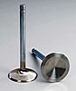 Severe Duty Valves Type: Intake - image 1