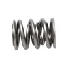 SPRING-B SERIES V-TEC - image 3