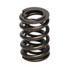 SPRING-H22 V-TEC - image 2